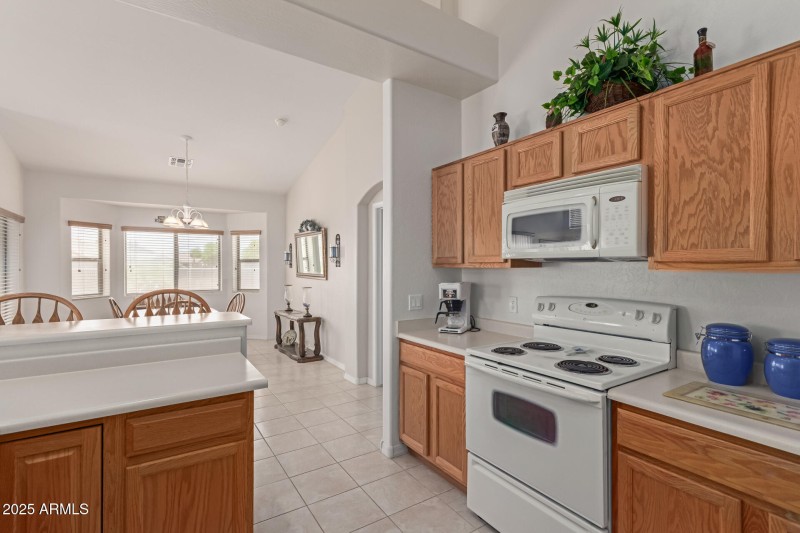 17 - Desert Willow
