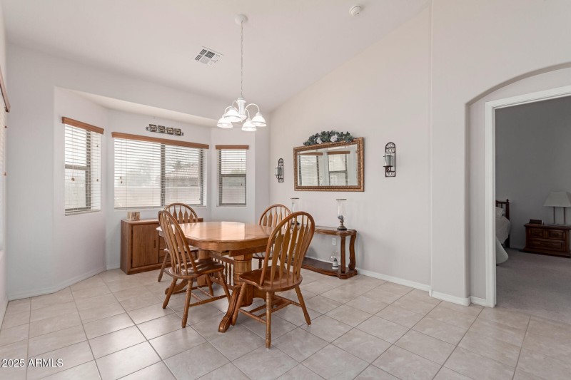 19 - Desert Willow