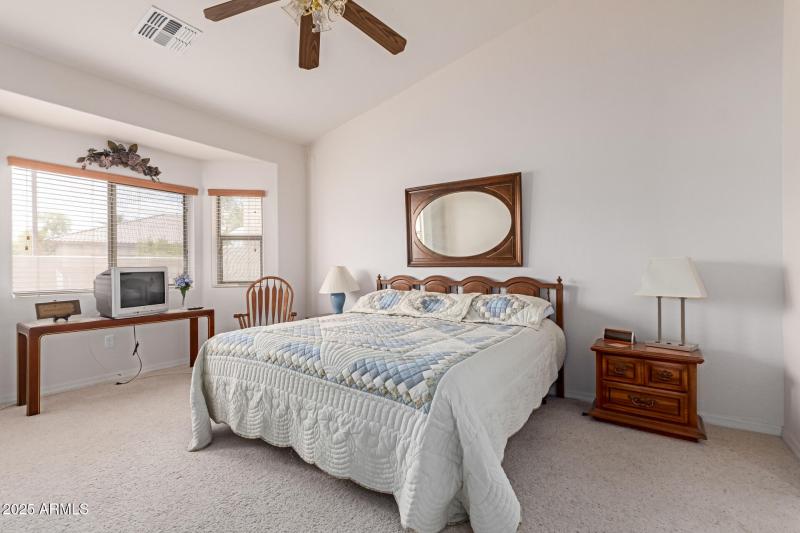 21 - Desert Willow