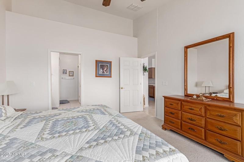 23 - Desert Willow