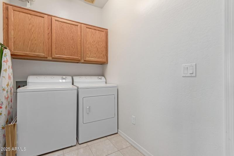 27 - Desert Willow
