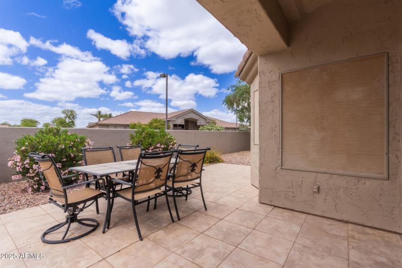 28 - Desert Willow