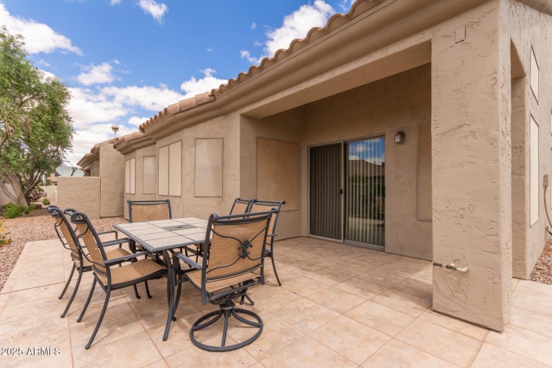 29 - Desert Willow