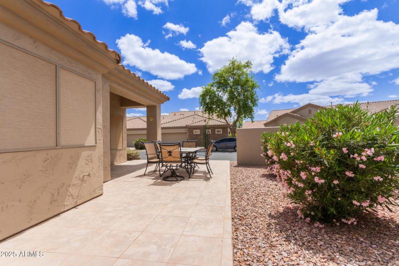 31 - Desert Willow