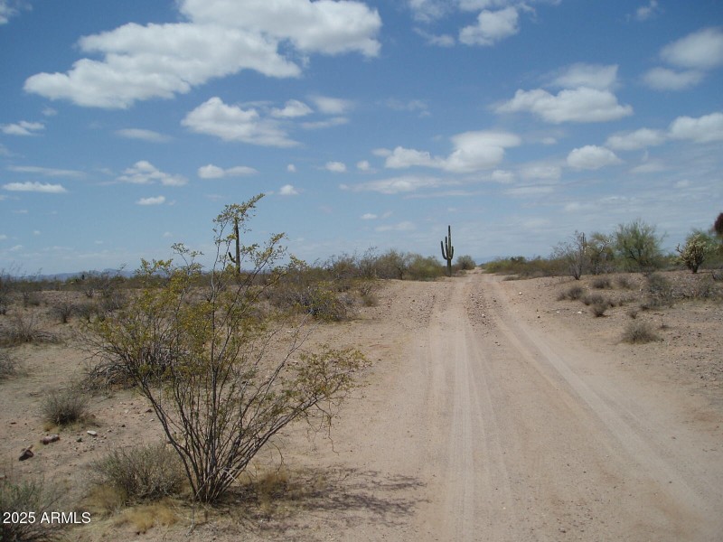 P4180003
