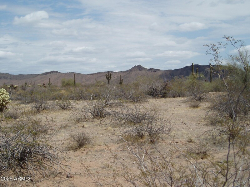 P4180006