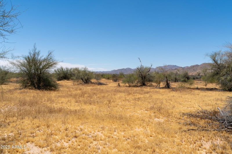 DSC02297-Enhanced-NR