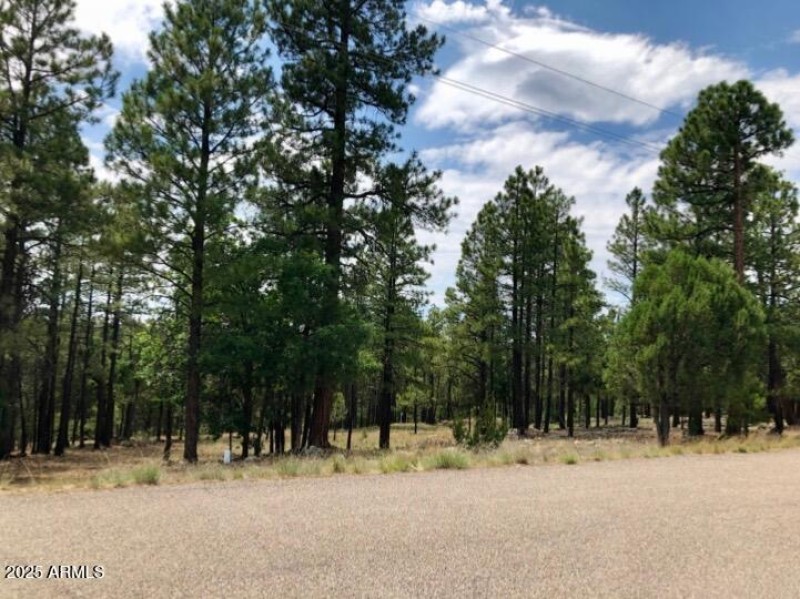 IMG_20250421_151812 (1)