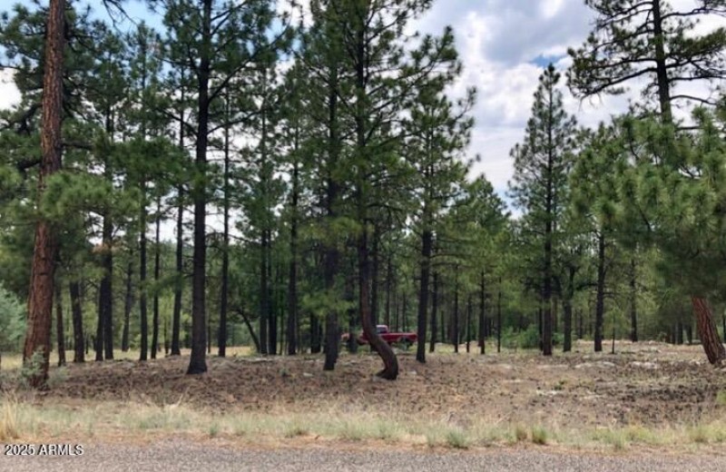 IMG_20250421_151820 (1)