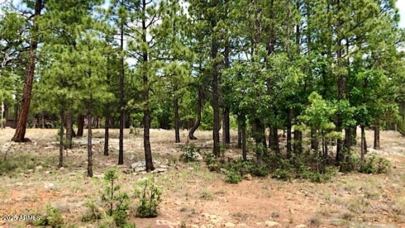 IMG_20250421_151845 (1)