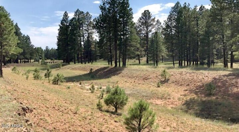 IMG_20250421_151846 (1)