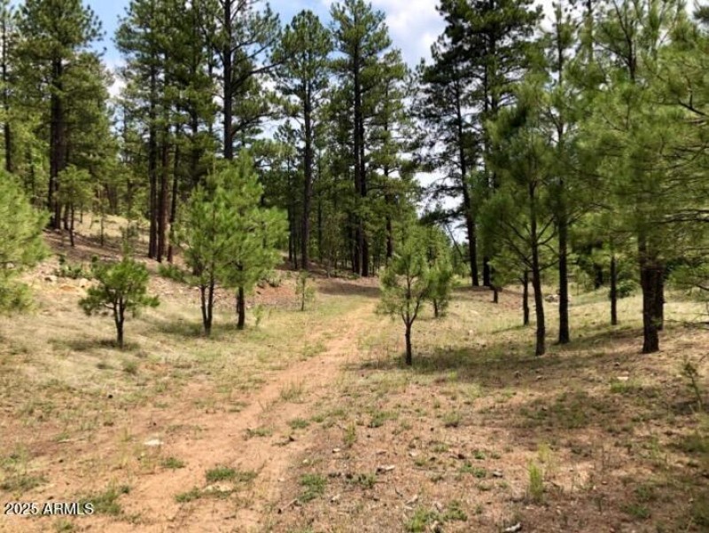 IMG_20250421_151846 (2)