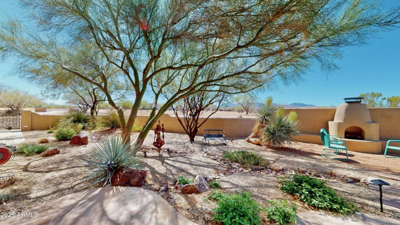 Back yard