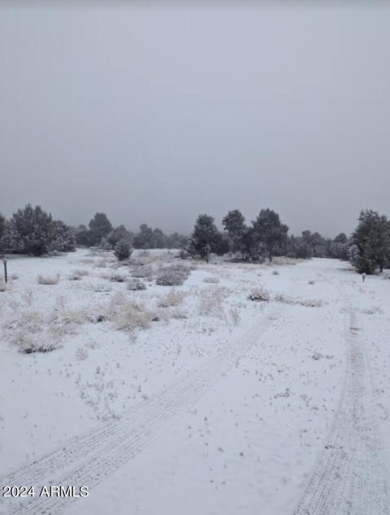 Screenshot 2024-05-19 at 4.32.44PM