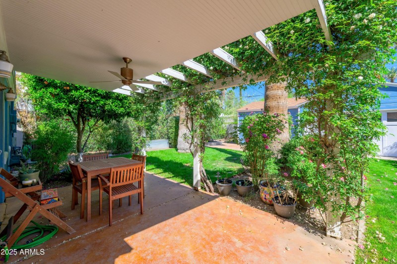 A Backyard Paradise