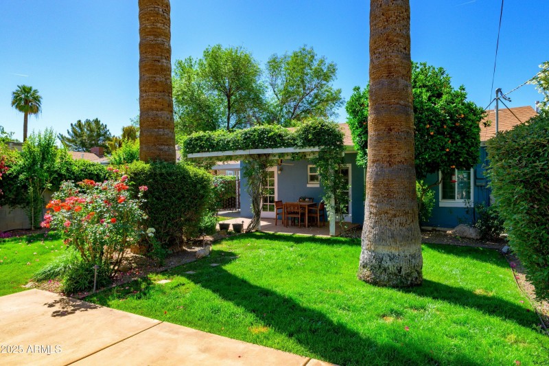 Covered Back Patio