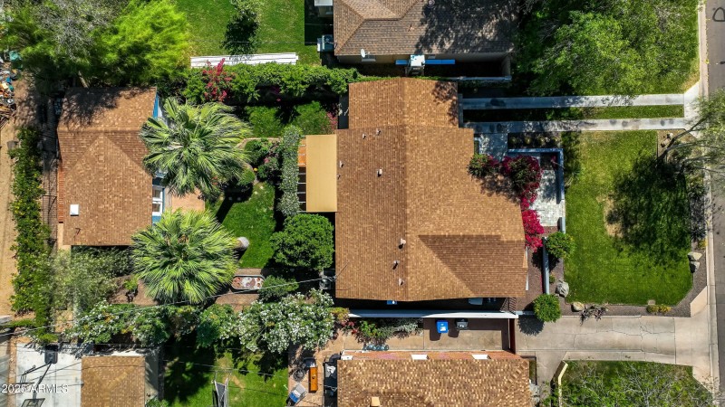 Bird's Eye