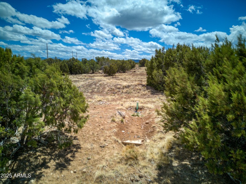 Paxmanphoto_DJI_20250418130934_0352_D