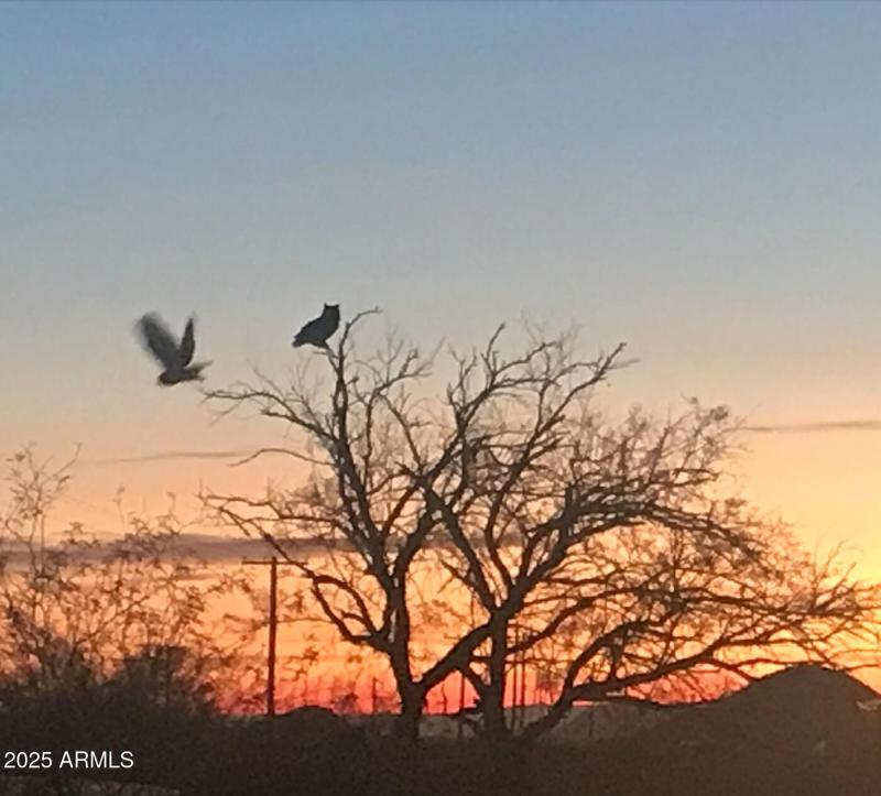 Screen Shot 2023-04-23 at 6.44.56 AM