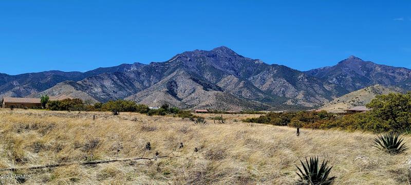 Lot 46 South Hackney Place