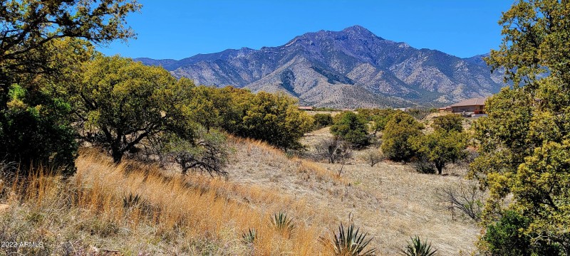 Lot 46 South Hackney Place