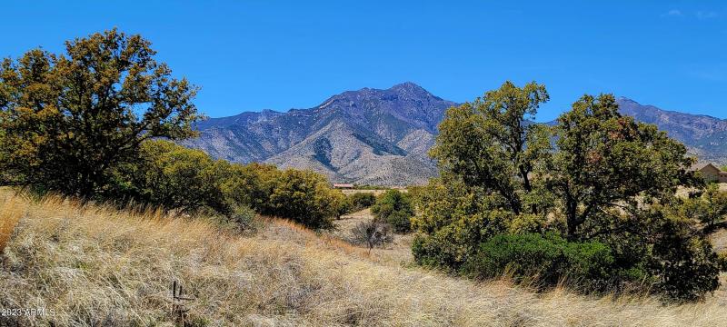 Lot 46 South Hackney Place