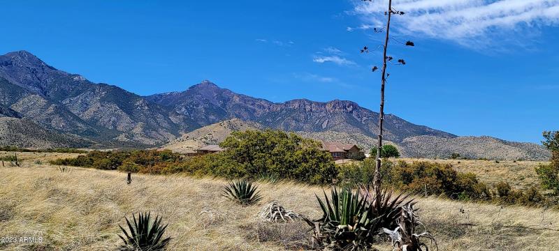 Lot 46 South Hackney Place