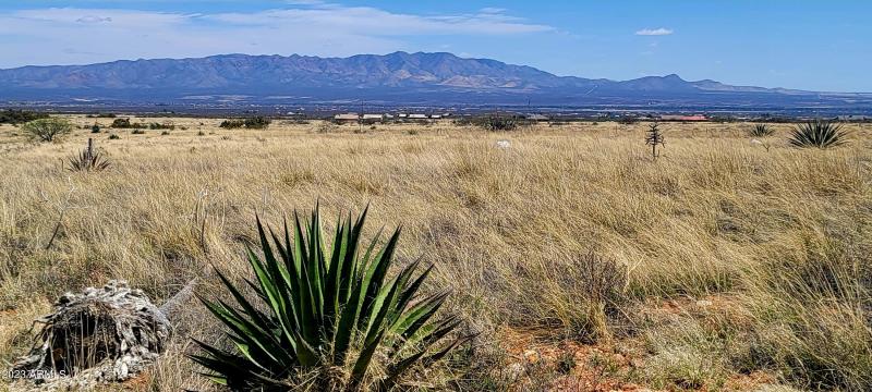 Lot 46 South Hackney Place