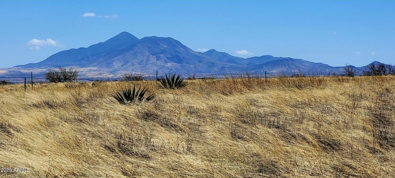 Lot 46 South Hackney Place