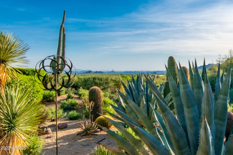 Desert View