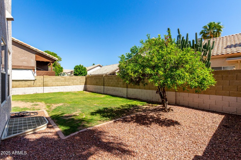 Backyard