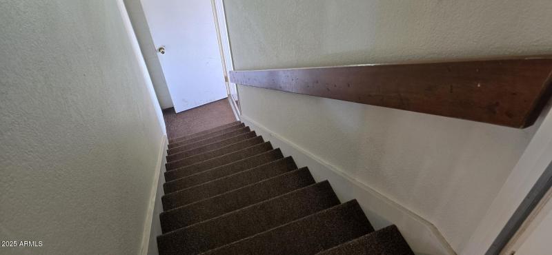 20250417_102415_resized