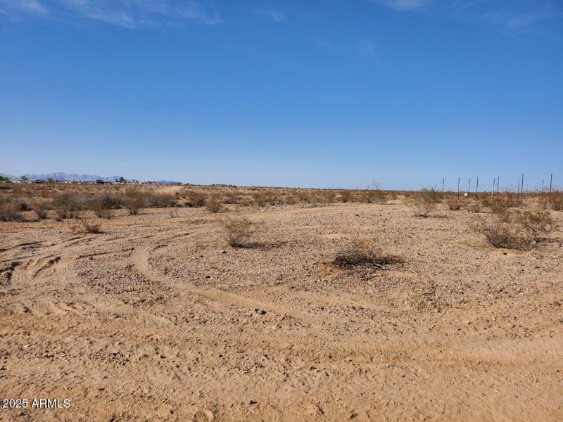 IMAGE 2025-04-10 13:13:30