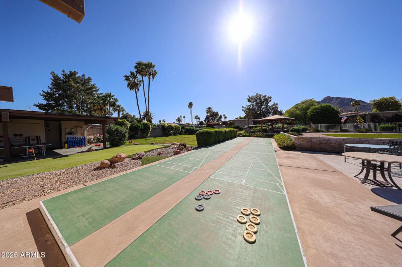 Community Shuffle Board