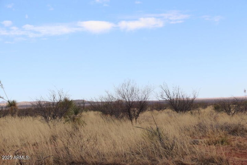 5FBC94E5-F178-406C-8163-0606F505DFE7