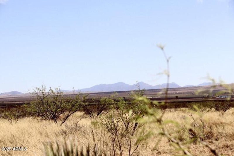 1E95C563-9A33-4D50-A93F-56A8005D9070_1_2