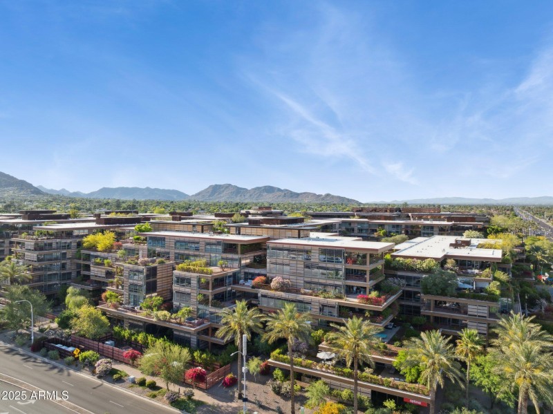 Optima Camelview
