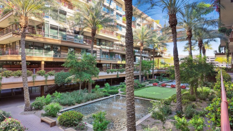 Optima Camelview