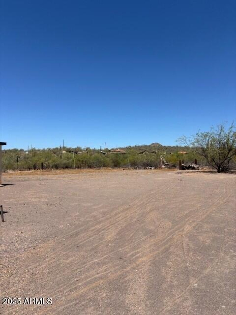 Looking North