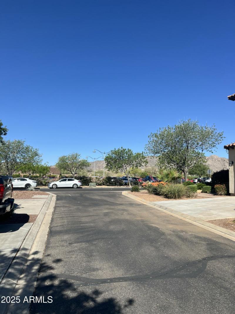 View from Back Alley