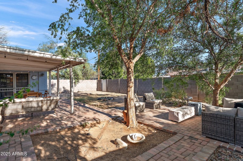 Backyard