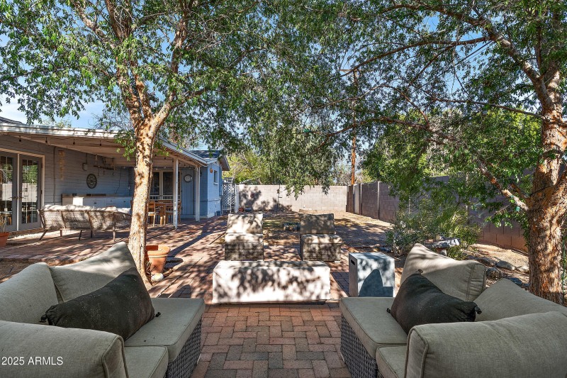 Backyard