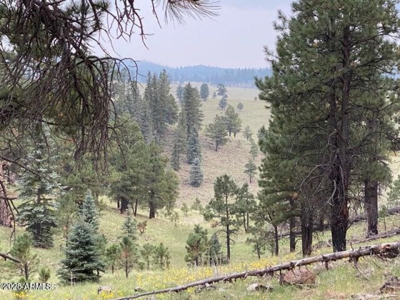 mtn view