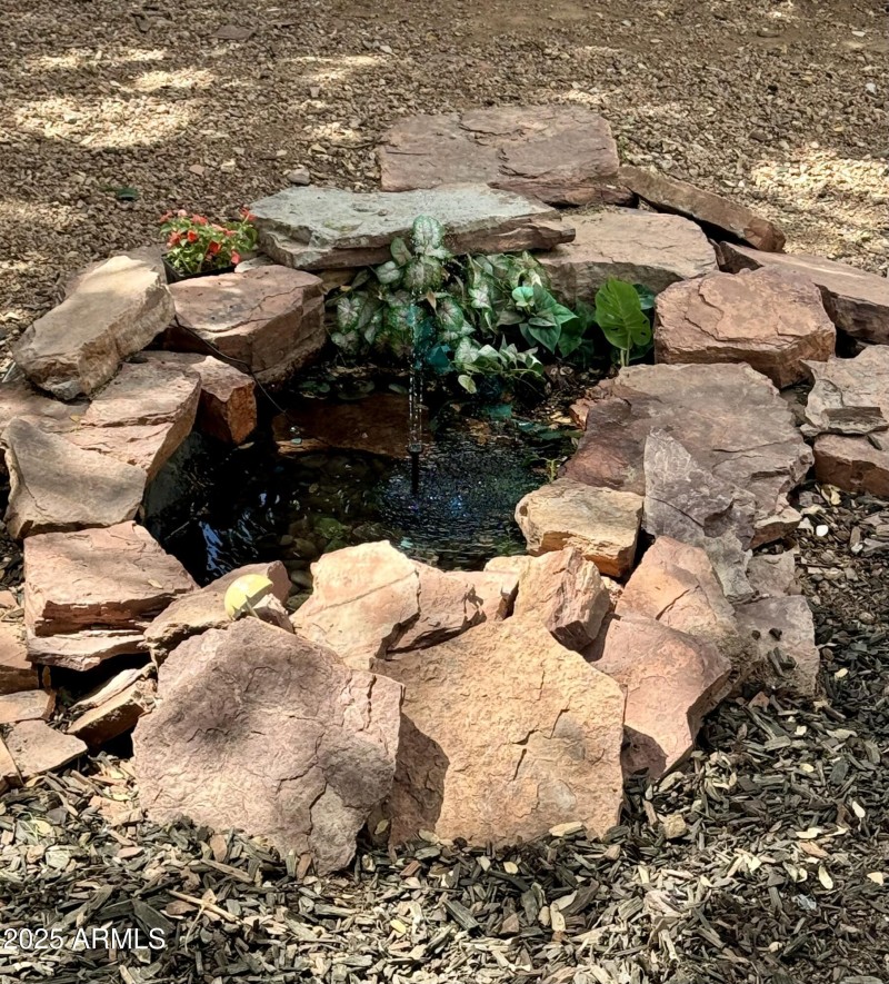 Backyard pond