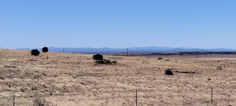 IMG_20250425_121644582~2