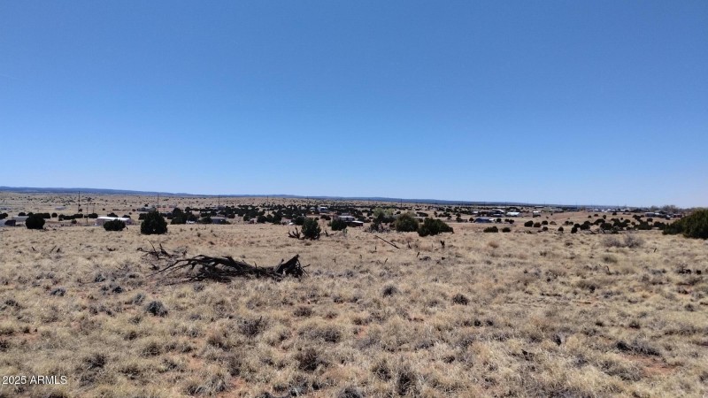 IMG_20250425_121651642