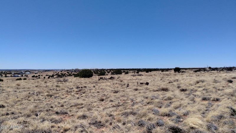 IMG_20250425_121655088