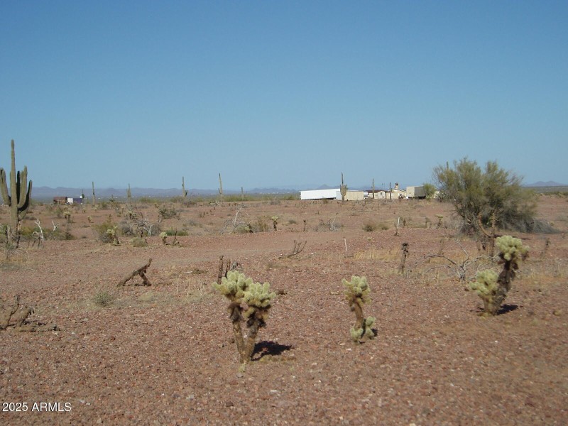 P4280018