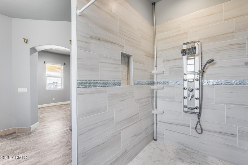Primary Shower