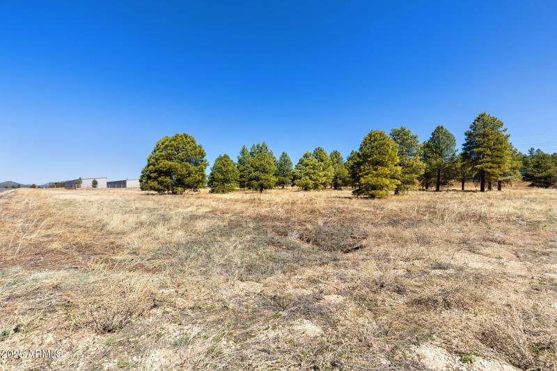 8-web-or-mls-JC0A2909